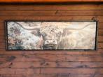 stier longhorn op canvas, Ophalen of Verzenden, Nieuw