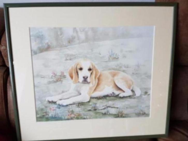 schilderij Bep van Os hond jachthond ingelijst, Antiek en Kunst, Kunst | Schilderijen | Klassiek, Ophalen