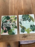 Leaf Supply: A guide to keeping happy house plants, Ophalen of Verzenden, Zo goed als nieuw, Sophia Kaplan