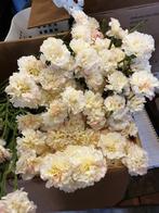 Witte anjer  kunstbloemen, Ophalen of Verzenden