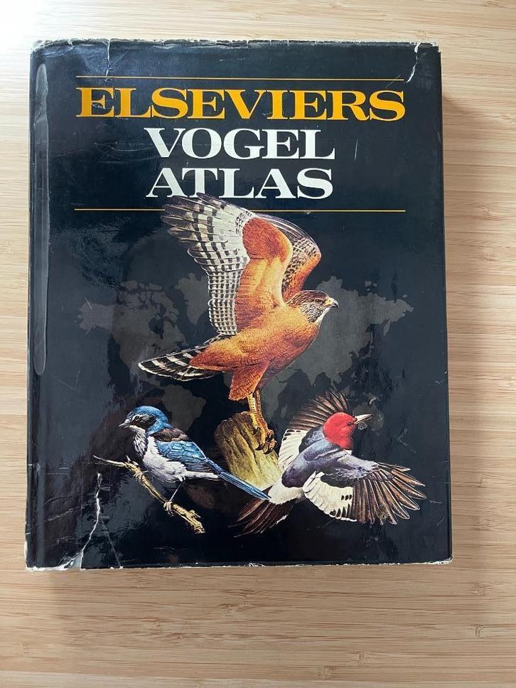 Elseviers vogel atlas Fry Flegg, Boeken, Dieren en Huisdieren, Gelezen, Vogels, Ophalen of Verzenden