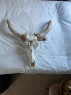 Prachtige grote schedel wand ornament skull, Ophalen of Verzenden, Zo goed als nieuw