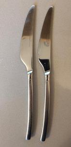 Van Kempen en Begeer mat bestek 2 messen, Huis en Inrichting, Keuken | Bestek, Ophalen of Verzenden, Nieuw, Rvs of Chroom