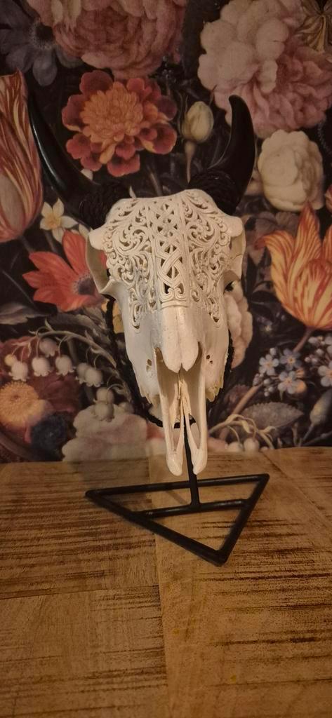 Authentieke Witte Geiten Schedel met Hoorns, Antiek en Kunst, Kunst | Beelden en Houtsnijwerken, Ophalen of Verzenden