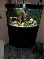 Hoek Aquarium, Dieren en Toebehoren, Vissen | Aquaria en Toebehoren, Ophalen, Gebruikt, Leeg aquarium