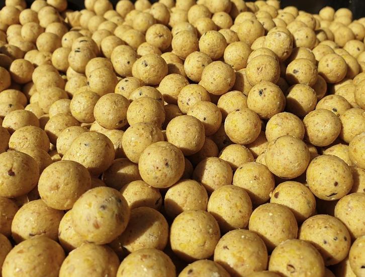 RLB Cell boilies freezer readymade boilie the cell, Watersport en Boten, Hengelsport | Karpervissen, Nieuw, Overige typen, Ophalen of Verzenden
