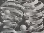 M C Escher, Antiek en Kunst, Ophalen of Verzenden
