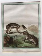 LeClerc Le Paca Originele hand-gekleurd koper gravure 1780, Ophalen of Verzenden