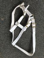 Ponyhalsters veulen halsters, Ophalen of Verzenden, Zo goed als nieuw, Overige soorten