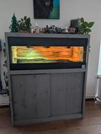 Terrariumkast greywash (terrarium 120x50x50), Dieren en Toebehoren, Reptielen en Amfibieën | Toebehoren, Ophalen