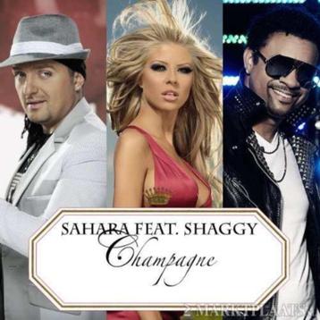 Sahara feat. Shaggy - Champagne (NIEUW) beschikbaar voor biedingen