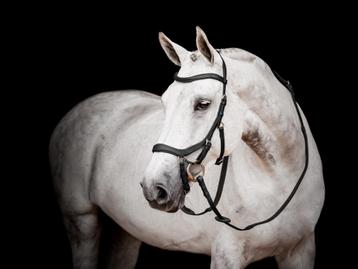 Rambo Micklem 2 Competition Bridle, Pony, Cob, Full, XFull beschikbaar voor biedingen