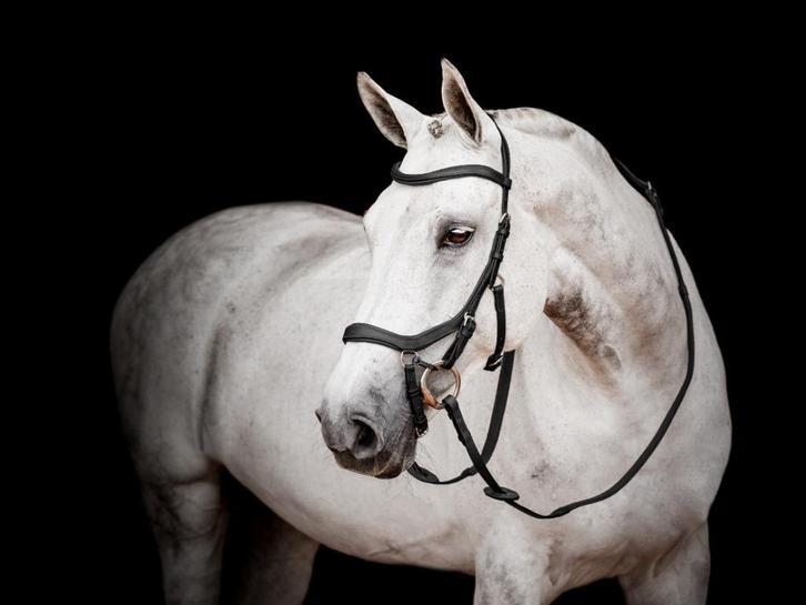 Rambo Micklem 2 Competition Bridle, Pony, Cob, Full, XFull, Dieren en Toebehoren, Paarden en Pony's | Hoofdstellen en Tuigage