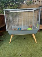 Knaagdieren kooi (rat, gerbil, hamster, muis?), Dieren en Toebehoren, Ophalen, Kooi, Gebruikt, 60 tot 90 cm