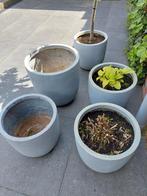 Grijze plantenpotten Intratuin, Steen, Tuin, Rond, Minder dan 60 cm
