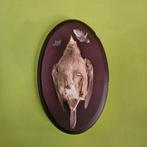 Mus taxidermie opgezette vogel, Ophalen, Zo goed als nieuw, Vogel, Opgezet dier