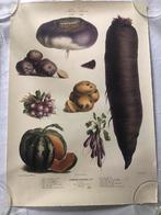 2 prenten, Verzamelen, 1980 tot heden, Ophalen of Verzenden, Zo goed als nieuw, Prent