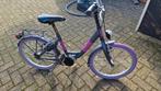 Meisjesfiets 20 inch - Leuke kinderfiets!, Fietsen en Brommers, Ophalen of Verzenden, Gebruikt, 20 inch, Handrem