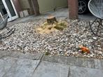 Boerengrind 30-60mm, Tuin en Terras, Grind, Keien en Split, Ophalen, Gebruikt, Overige materialen