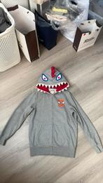 Dikke grijze warme hoodiesweater, Ophalen of Verzenden, Zo goed als nieuw, Grijs