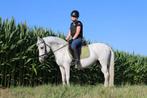 Verzorg paard/pony gezocht!!, Dieren en Toebehoren, Ophalen of Verzenden, Nieuw
