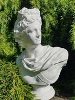 buste beeld , david, Ophalen of Verzenden, Atw, Beton, Atw