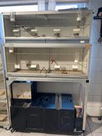 Izgst aleminium kweekkooien met mooi onderstel, Dieren en Toebehoren, Ophalen of Verzenden, Zo goed als nieuw, Broedkooi of Kweekkooi