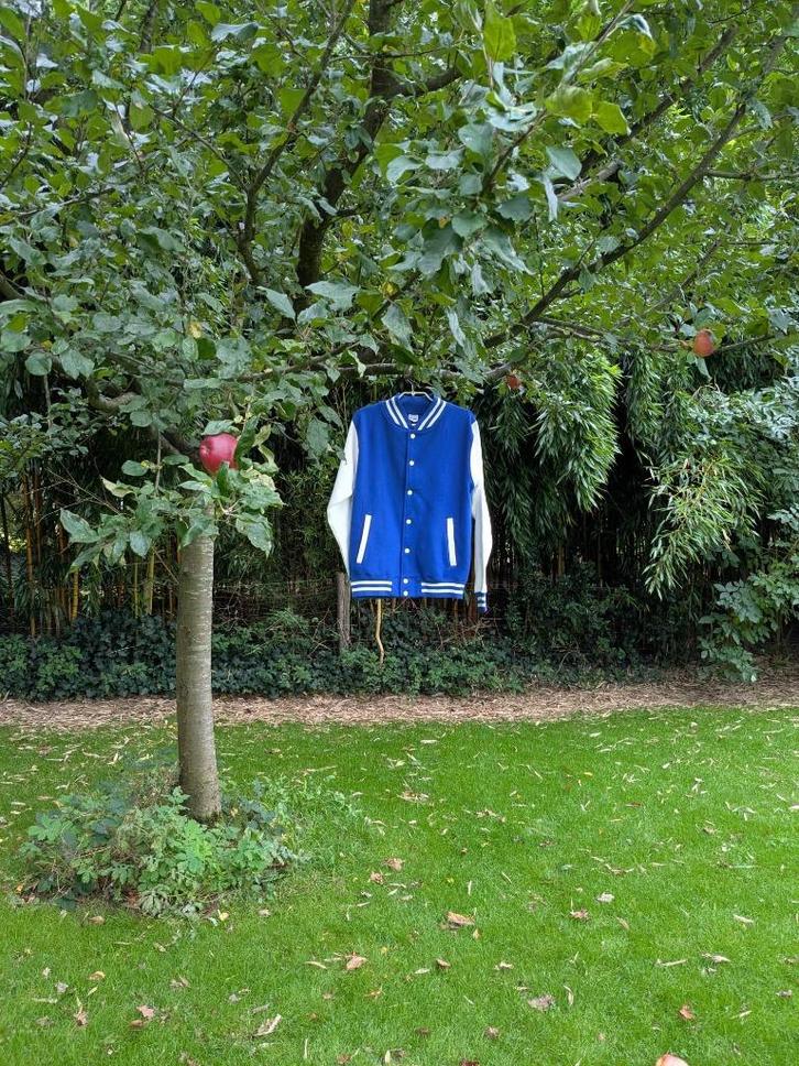 bomber jacket AWDis blauw/wit – maat S en XS, Kleding | Heren, Truien en Vesten, Zo goed als nieuw, Maat 46 (S) of kleiner, Blauw
