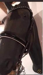 Diverse paarden spullen,br,sprenger enz, Dieren en Toebehoren, Ophalen of Verzenden, Gebruikt, Dressuur