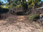 Gratis brandhout, 6 m³ of meer, Ophalen, Eikenhout, Takken