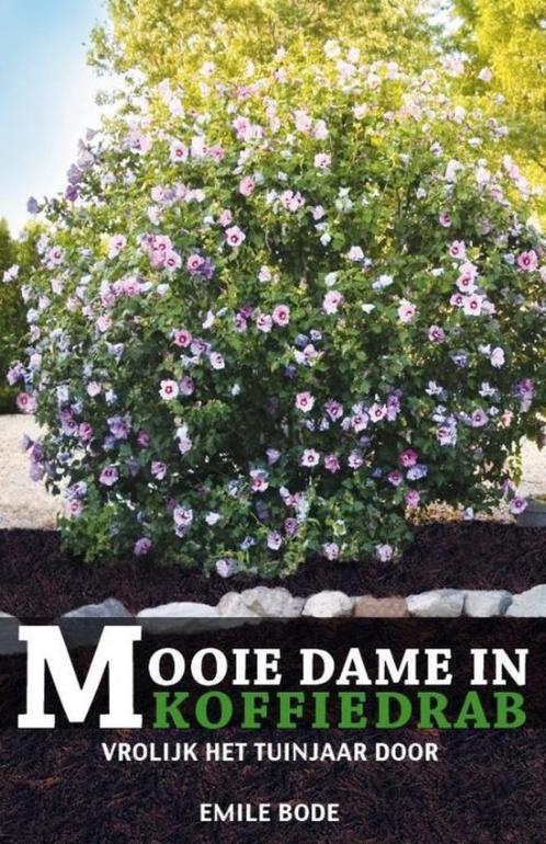 Emile Bode - Mooie dame in Koffiedrab, Boeken, Romans, Nieuw, Nederland, Ophalen of Verzenden