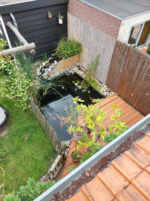 Complete koi vijver., Diensten en Vakmensen, Tuinmannen en Stratenmakers