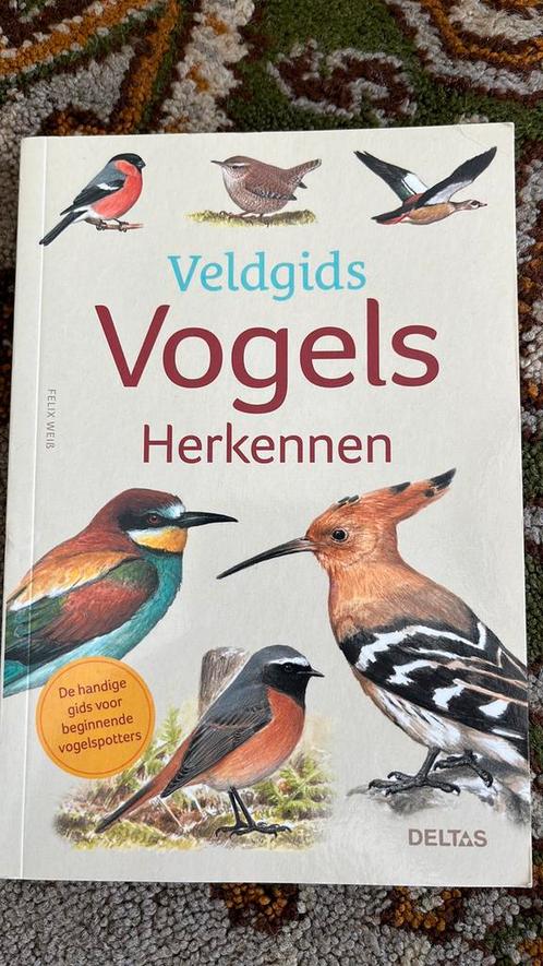 Felix WEISS - Veldgids - Vogels herkennen, Boeken, Dieren en Huisdieren, Nieuw, Vogels, Ophalen