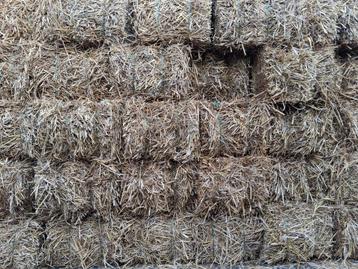 Weidehooi, hooi en stro beschikbaar voor biedingen