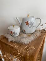 Prachtig vintage theeservies Bavaria Seltmann, Ophalen of Verzenden