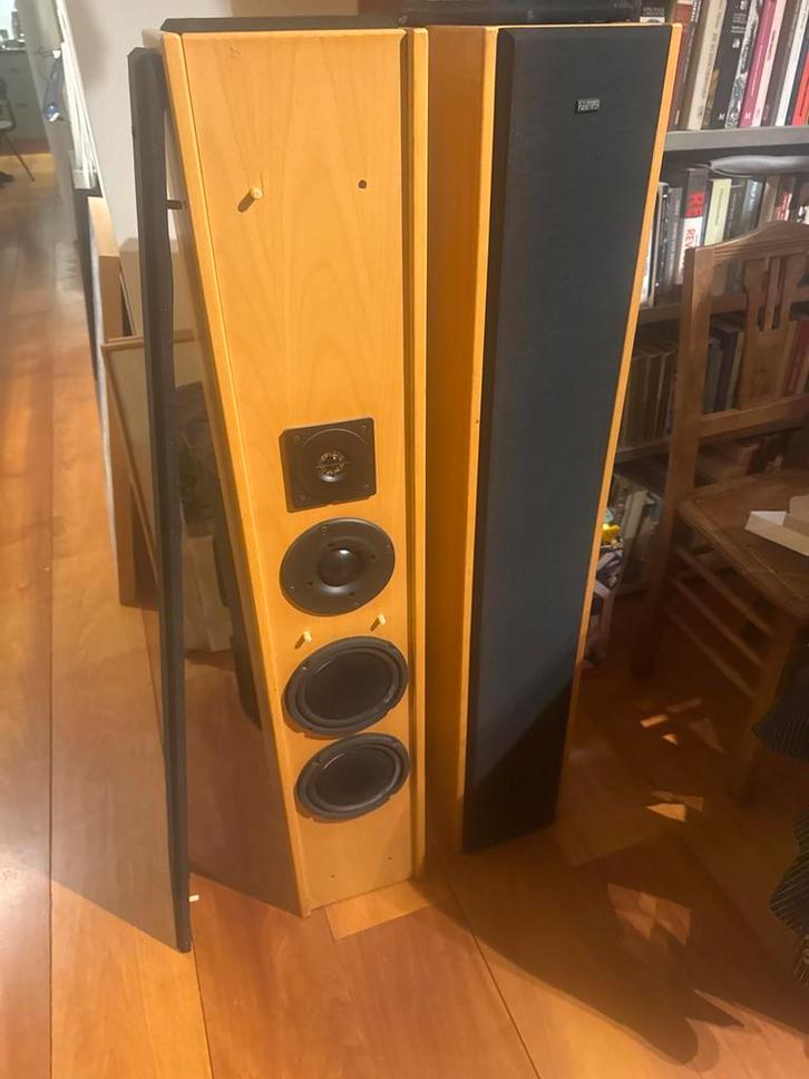 Piedpiper Van Aura Speakers - Topkwaliteit!, Audio, Tv en Foto, Luidsprekers, Gebruikt, Front, Rear of Stereo speakers, 120 watt of meer