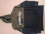 Hoodie maat 146/152, Ophalen of Verzenden, Meisje, Trui of Vest