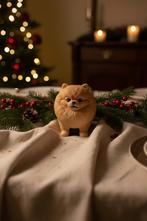 Pomeranian beeldje / pomeriaan beeldjes / dwergkees beeldjes, Ophalen of Verzenden, Nieuw, Dier