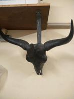 Decoratieve Buffel Schedel, Huis en Inrichting, Woonaccessoires | Wanddecoraties, Ophalen of Verzenden, Gebruikt