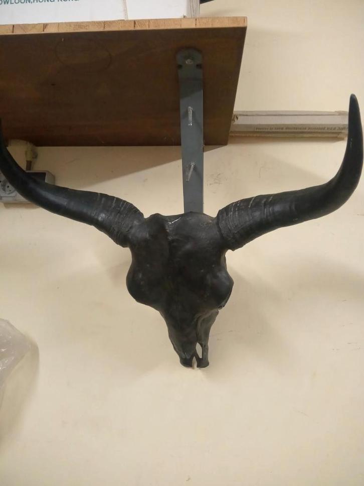 Decoratieve Buffel Schedel, Huis en Inrichting, Woonaccessoires | Wanddecoraties, Gebruikt, Ophalen of Verzenden