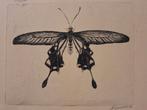 Ets van een Vlinder, Antiek en Kunst, Kunst | Etsen en Gravures, Ophalen of Verzenden