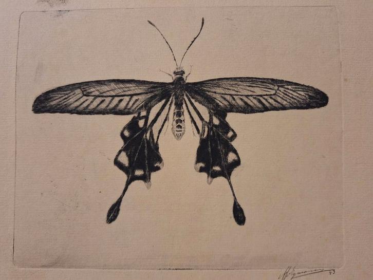 Ets van een Vlinder, Antiek en Kunst, Kunst | Etsen en Gravures, Ophalen of Verzenden