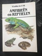 Amfibieeen en reptielen door V.Lanka en Z.Vit, Dieren en Toebehoren, Reptielen en Amfibieën, 0 tot 2 jaar