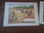 Oude schoolplaat 4e serie bouwland nr 4 J.B Wolters, Antiek en Kunst, Ophalen