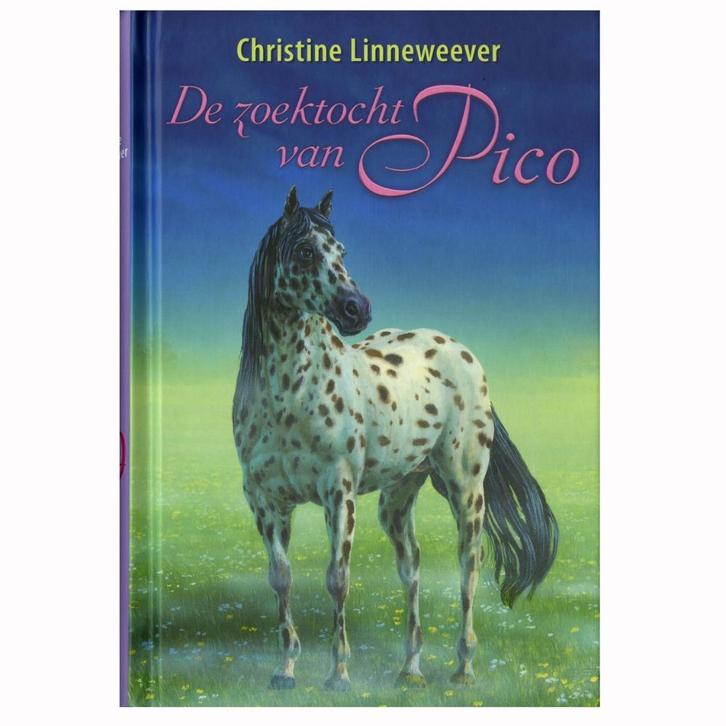 De zoektocht van Pico / Christine Linneweever, Boeken, Kinderboeken | Jeugd | 10 tot 12 jaar, Zo goed als nieuw, Ophalen of Verzenden