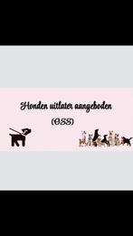 Honden uitlater aangeboden, Eén persoon, Cadeaubon, Overige typen