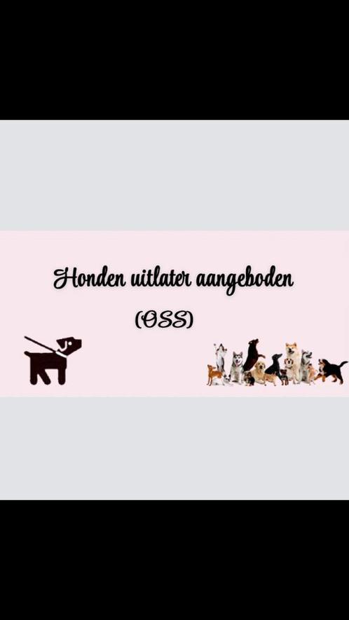 Honden uitlater aangeboden, Tickets en Kaartjes, Kortingen en Cadeaubonnen, Eén persoon, Overige typen, Cadeaubon