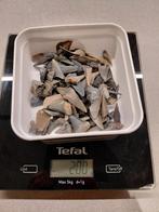 Haaientanden Cadzand - 200 gram, Ophalen of Verzenden, Fossiel