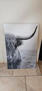 Houten schilderij schotse hooglander, Huis en Inrichting, Ophalen, Schilderij, Minder dan 50 cm