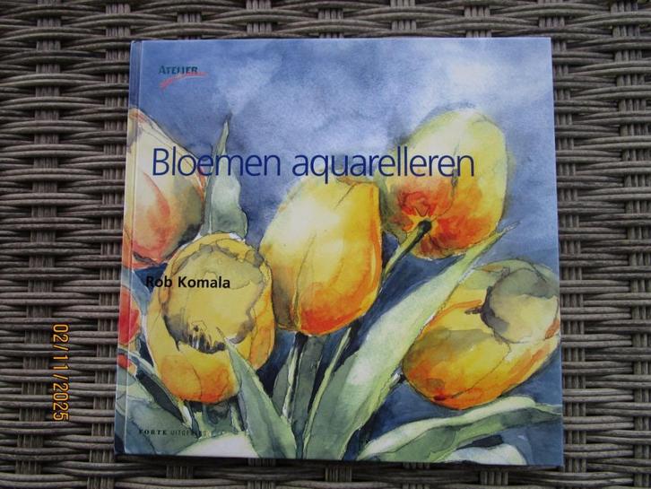 Div. Hobbyboeken aquarelleren (2), Boeken, Hobby en Vrije tijd, Gelezen, Tekenen en Schilderen, Ophalen of Verzenden